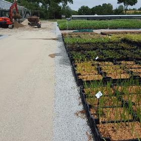 Réalisation de travaux d'horticulture pour la création d'une pépinière